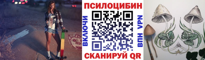Псилоцибиновые грибы прущие грибы  Отрадное 